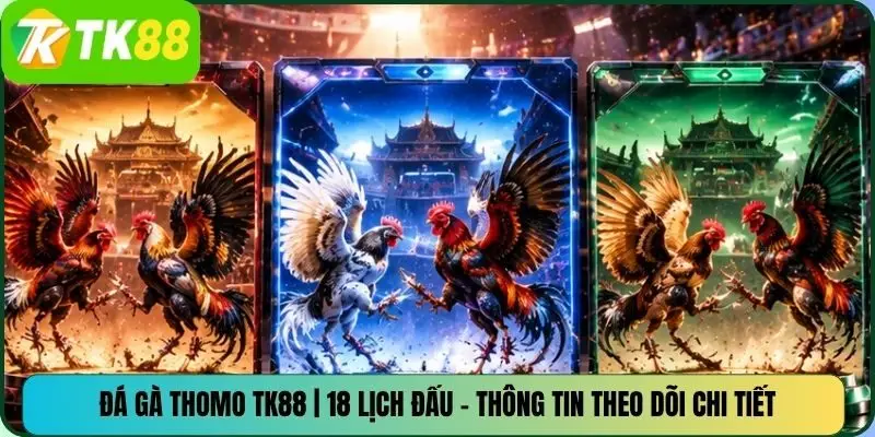 Đá Gà Thomo TK88 | 18 Lịch Đấu – Thông Tin Theo Dõi Chi Tiết