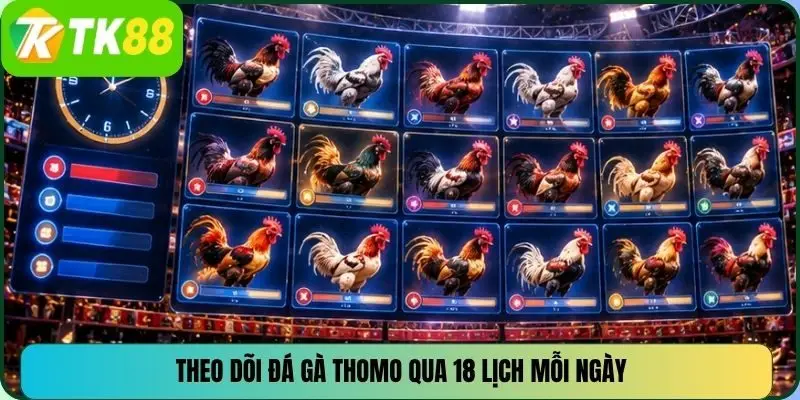 Theo dõi đá gà Thomo qua 18 lịch mỗi ngày
